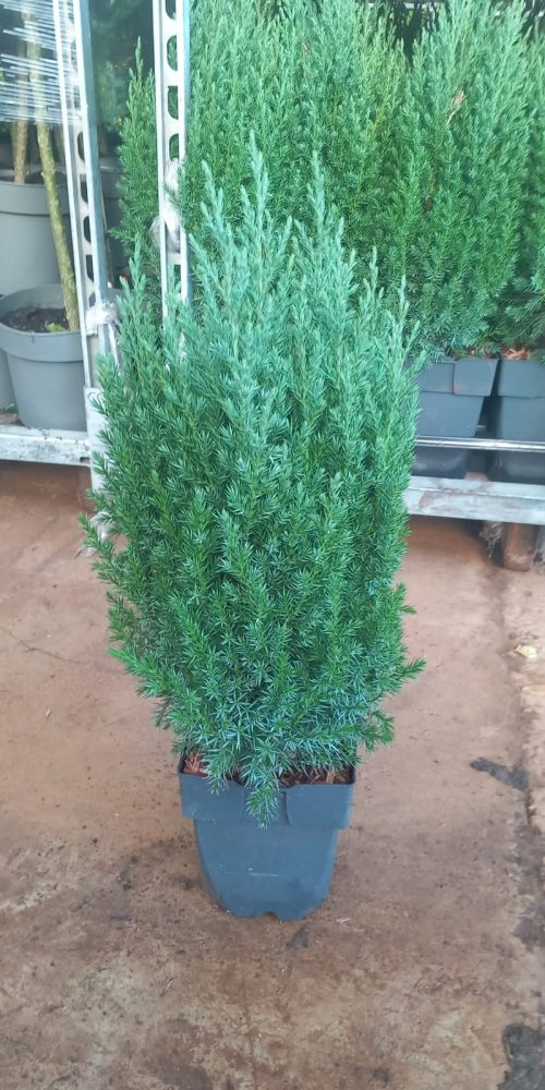 WhatsApp Image 2025-10-27 at 09.35.23 (1)